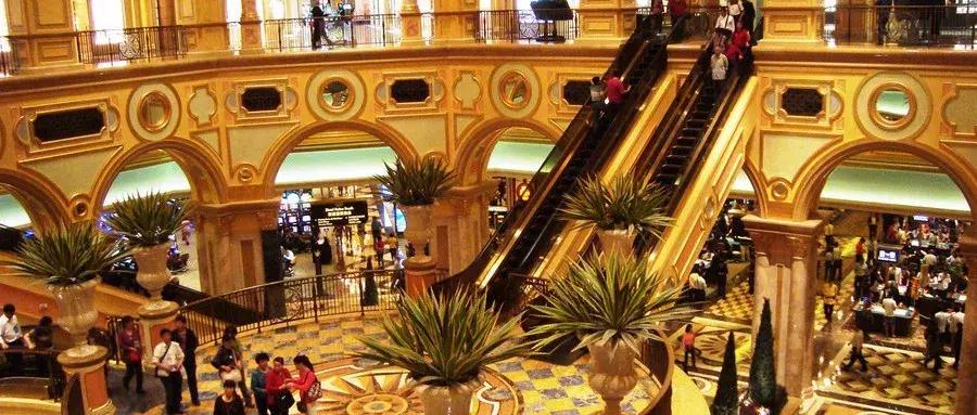 上海小伙辞职去澳门当职业德州扑克牌手，家人为何反对？