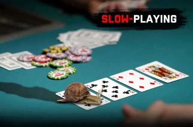 德州扑克怎么识别鱼玩家 职业选手必看的5个漏洞