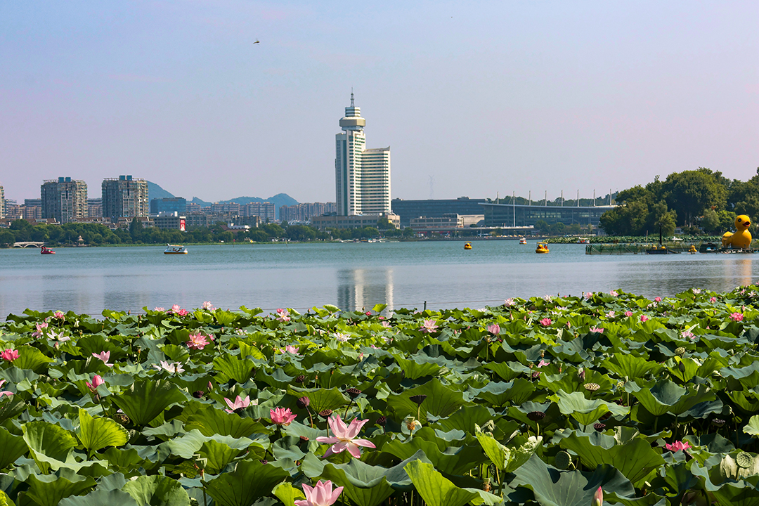 德州扑克俱乐部被指开赌场,律师当庭重构案件事实与定罪逻辑 德州扑克俱乐部被指开赌场,律师当庭重构案件事实与定罪逻辑