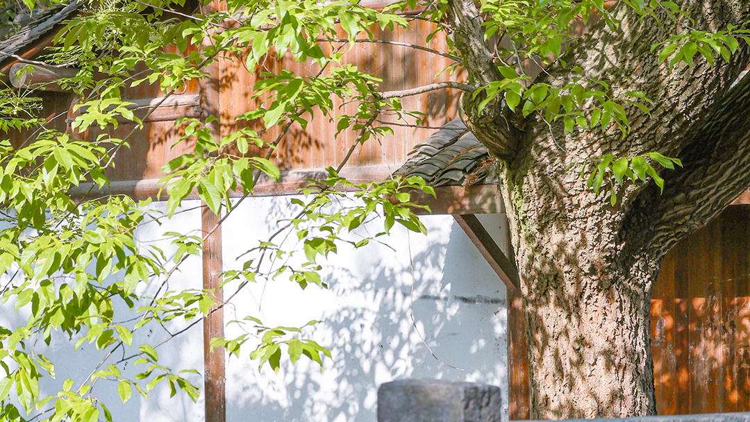 德州扑克俱乐部被指开赌场,律师当庭重构案件事实与定罪逻辑 德州扑克俱乐部被指开赌场,律师当庭重构案件事实与定罪逻辑