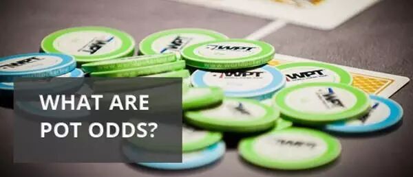 德州扑克成败比怎么算？学会底池赔率让你科学决策