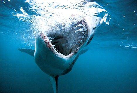 德州扑克信心从哪里来？拆迁户老余的自信与底气