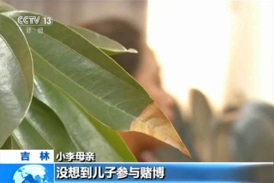 公安部督办！网络德州扑克俱乐部涉赌超10亿，240多人输20万以上