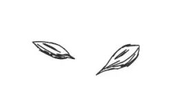 河牌圈诈唬技巧：如何选对时机和对手，把成牌转诈唬