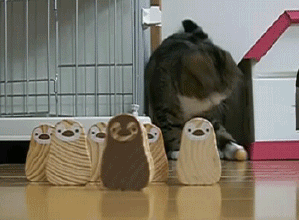 德州扑克能锻炼什么？玩德扑的4个好处，让你越玩越聪明