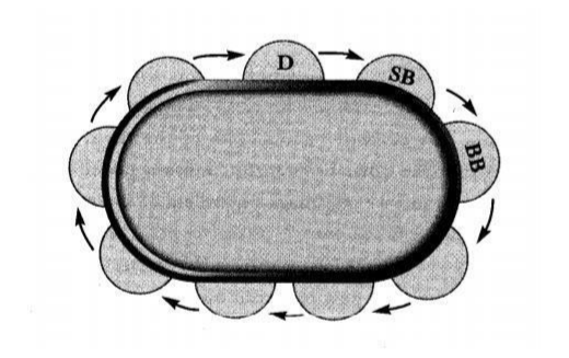 小绿皮书总结：德州扑克必学的基本功和实用策略